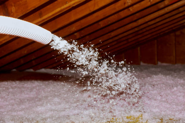 Best Insulation Inspection Services  in Key Biscayne, FL